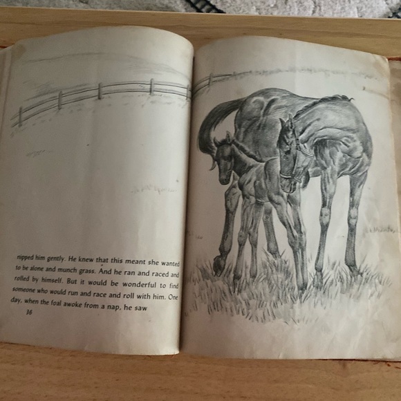 Wonderful Things! by Zhenya Gay - Picture 6 of 12